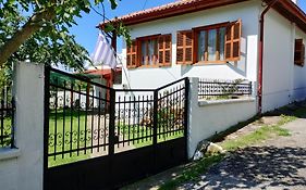 Τα πλατάνια